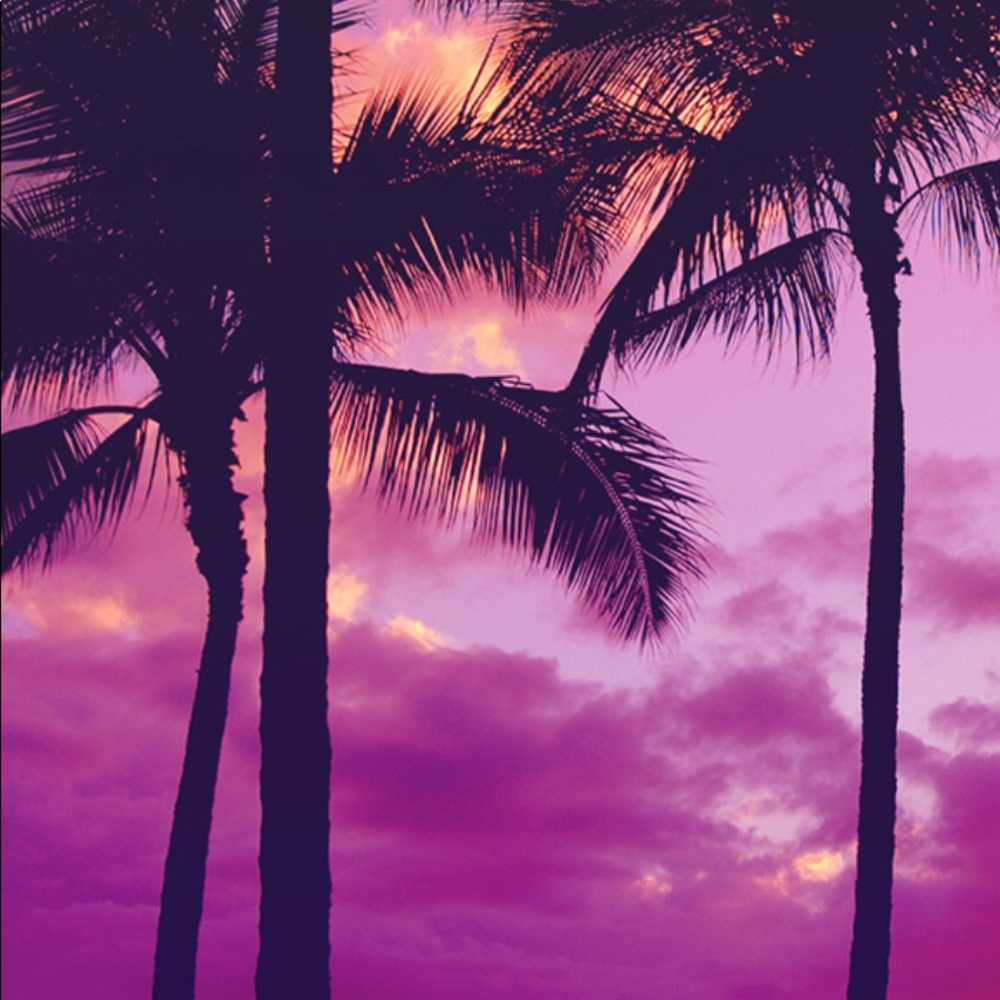 Meet your Posher, Claudia